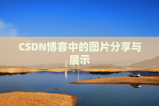 CSDN博客中的图片分享与展示